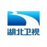 湖北卫视抖音达人头像