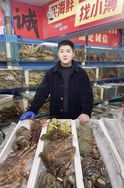 大连小薄海鲜抖音达人头像