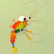 NaNa(厨房刀架版）抖音号头像