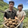 云南勇哥山货抖音达人头像