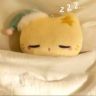昏ᶠᵘᶠᵘ犯困抖音达人头像
