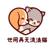 世间再无流浪猫抖音达人头像