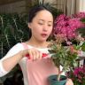 凌凌de花园抖音达人头像