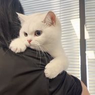 玲娜和她的小伙伴们抖音达人头像