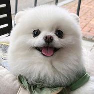 Nami抖音达人头像