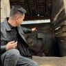 阿亮来了抖音达人头像