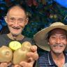 刘大叔的果园抖音达人头像
