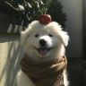 91丶b剪抖音达人头像