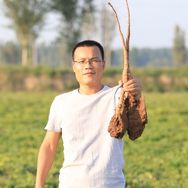 邻夫铁棍怀山药抖音达人头像