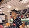 二博抖音达人头像