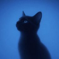 淘淘oo抖音达人头像