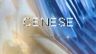 CENESE塞纳斯卡牌抖音达人头像