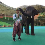 小象的跟班🐘抖音达人头像