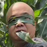 卡布卡布抖音达人头像