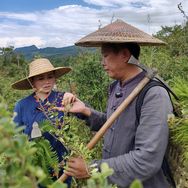 苗疆兄妹—传苗方抖音达人头像