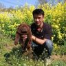 萌犬宠物·五黑犬繁育抖音达人头像