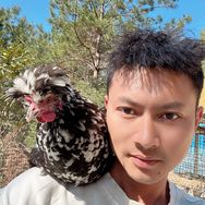 八哥的乡村生活抖音达人头像
