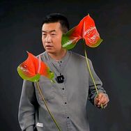 远征教插花抖音达人头像