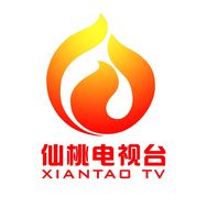 仙桃电视台抖音达人头像
