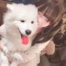 打工赚钱养小狗抖音达人头像