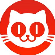 猫眼电影抖音达人头像
