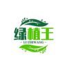 绿植王抖音达人头像
