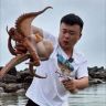 小宇（赶海啦）抖音达人头像