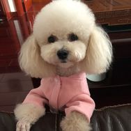 球球宝贝抖音达人头像