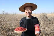 宁夏中宁杞村长枸杞抖音达人头像