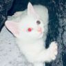 游标卡尺抖音达人头像