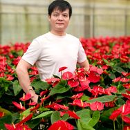 别致花匠BIEZHIHUAJIANG绿植旗舰店抖音达人头像