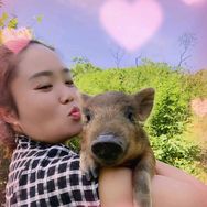 猪妈妈抖音达人头像