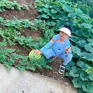 跳跳妈抖音达人头像