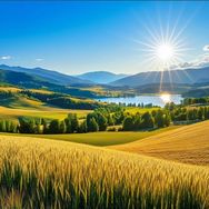 椿蒿网络科技抖音号头像