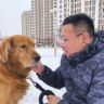养大黄狗那男的抖音达人头像