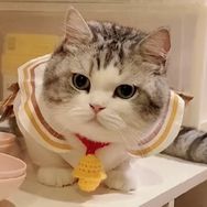江湖有大头抖音达人头像