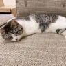 月朋贸易抖音达人头像