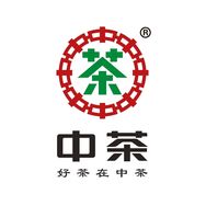 中茶官方旗舰店抖音号头像