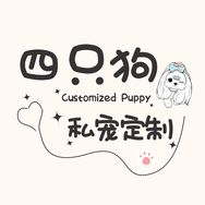 四只狗-甜美韩系比熊3️⃣号直播号抖音达人头像