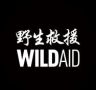 野生救援WildAid抖音达人头像