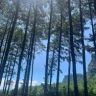 访家集团董事抖音达人头像