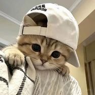 一杯冰美式抖音达人头像