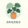 青屿龟背植舍抖音达人头像