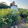瑞禾果树苗木专营店抖音达人头像