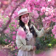 橙子旅行抖音达人头像