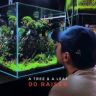 一木一叶造景-老李抖音达人头像