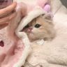 ciu7抖音达人头像