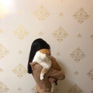 黏黏爱撒娇抖音达人头像