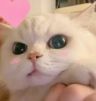 一颗小奶团抖音达人头像