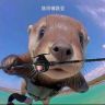 陈师傅路亚抖音达人头像